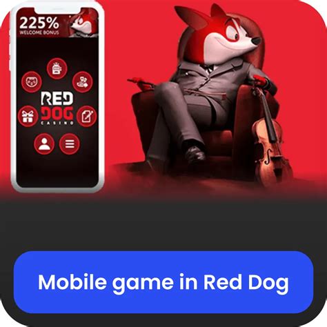 red dog bet aviator|Aviator Red Dog ᐉ How to play for real money .